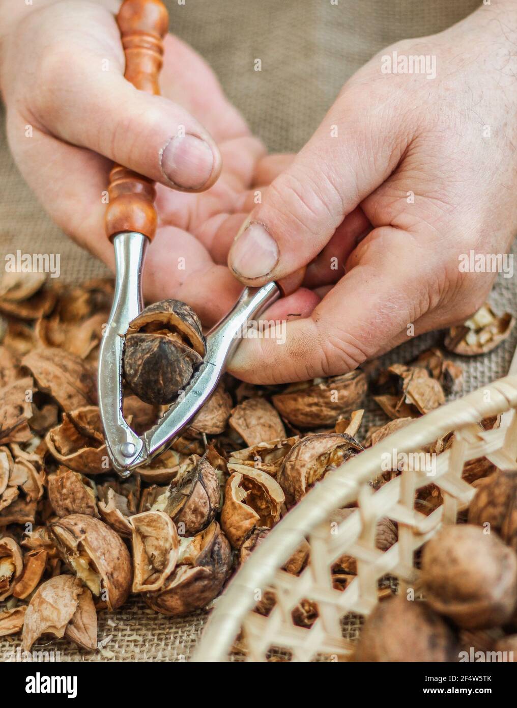 The walnut cracker Stock Photo Alamy