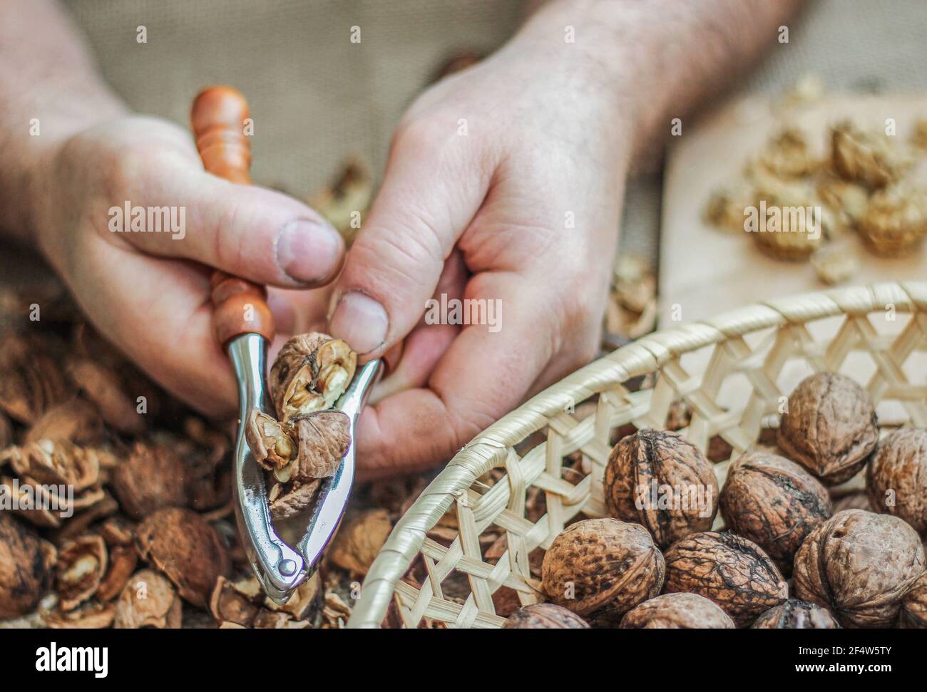 The walnut cracker Stock Photo Alamy