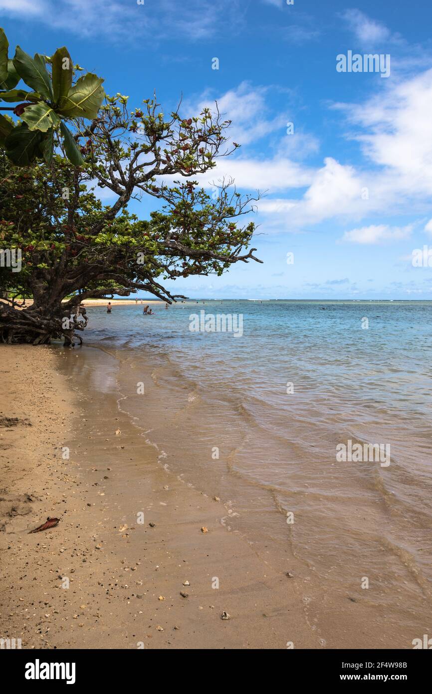 Sand beach along Kalihi kai Park coast, Kauai, Hawaii, USA Stock Photo
