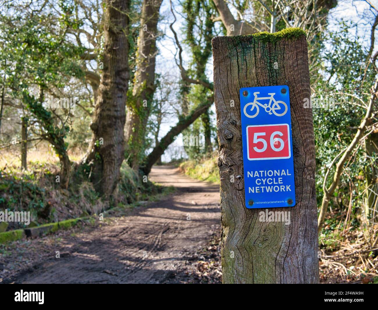A blue metal sign on a wooden post shows the route of UK National Cycle Network route 56 on Wirral. Stock Photo