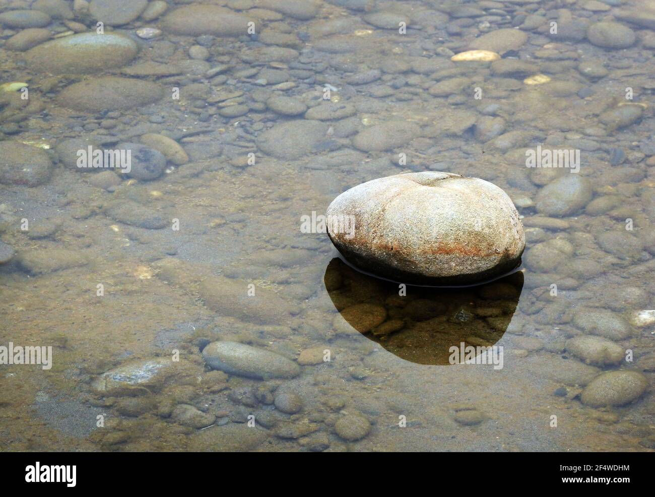 A large round stone in a shallow pond. Stock Photo
