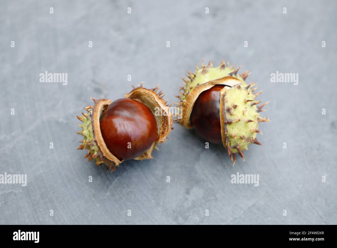 Chestnuts in the shell on a stone plate Stock Photo - Alamy
