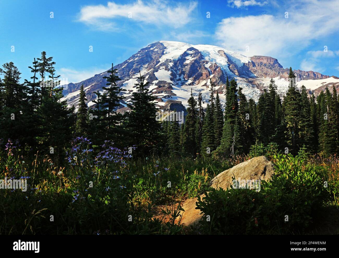 Mount Rainier in Washington state. Stock Photo