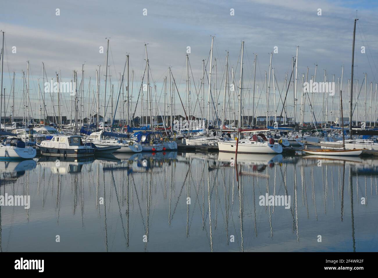 Sailing boats at Howth Yacht Club and Marina in Dublin, County Leinster Ireland Stock Photo Alamy