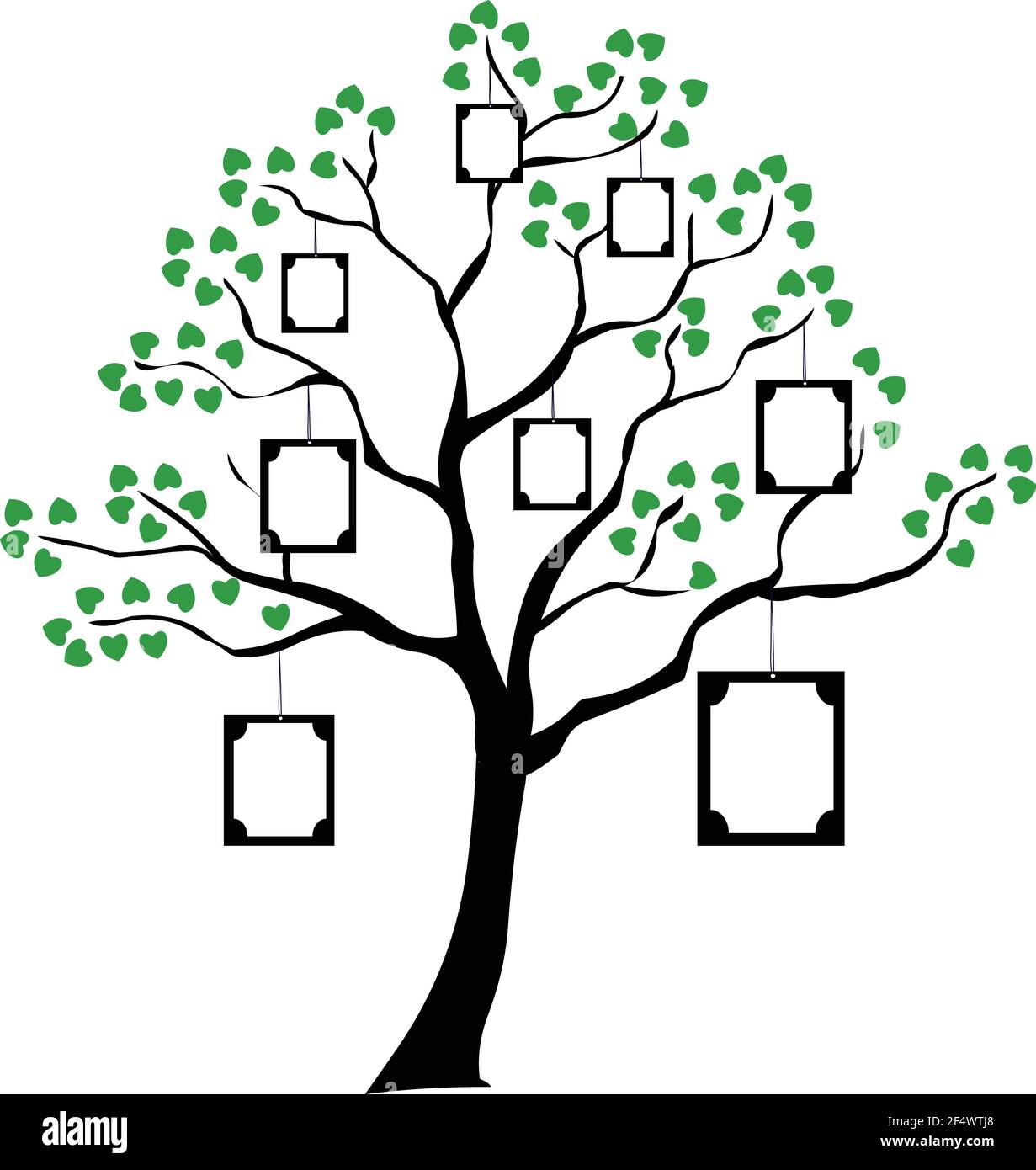 Family tree with blank frames vector isolated on white background Stock  Vector Image & Art - Alamy