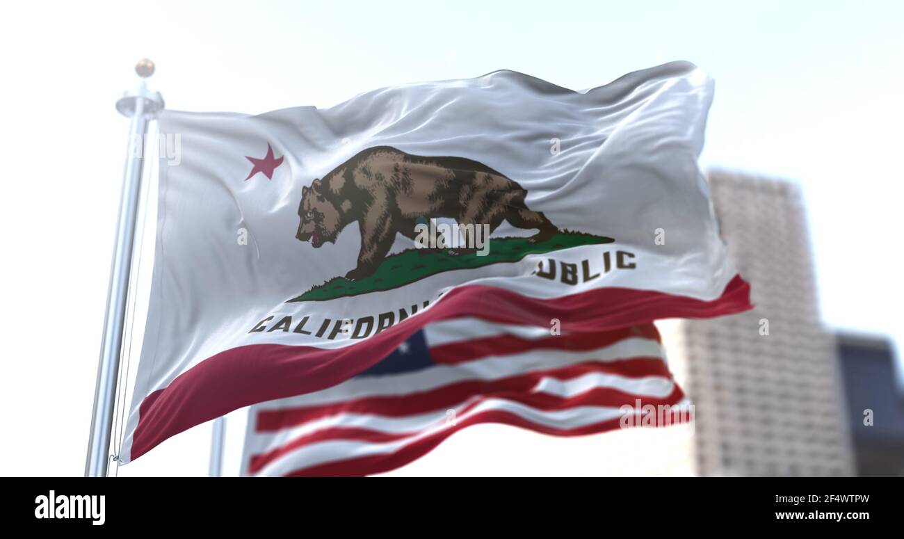 The California Republic flag with the grizzly bear Monarch flying along with the American national star-striped flag. Patriotism and freedom. American Stock Photo