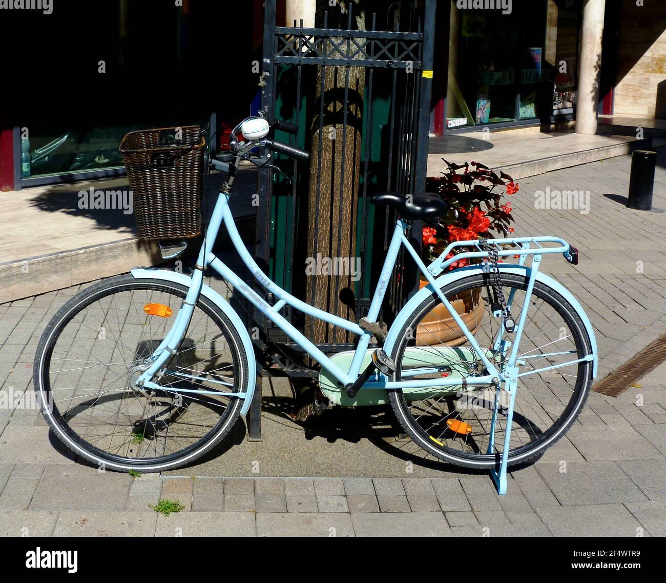 woman's bicycle. urban setting standing next to tree. abstract view. sport and modern lifestyle concept. convenient urban transportation. city bike. Stock Photo