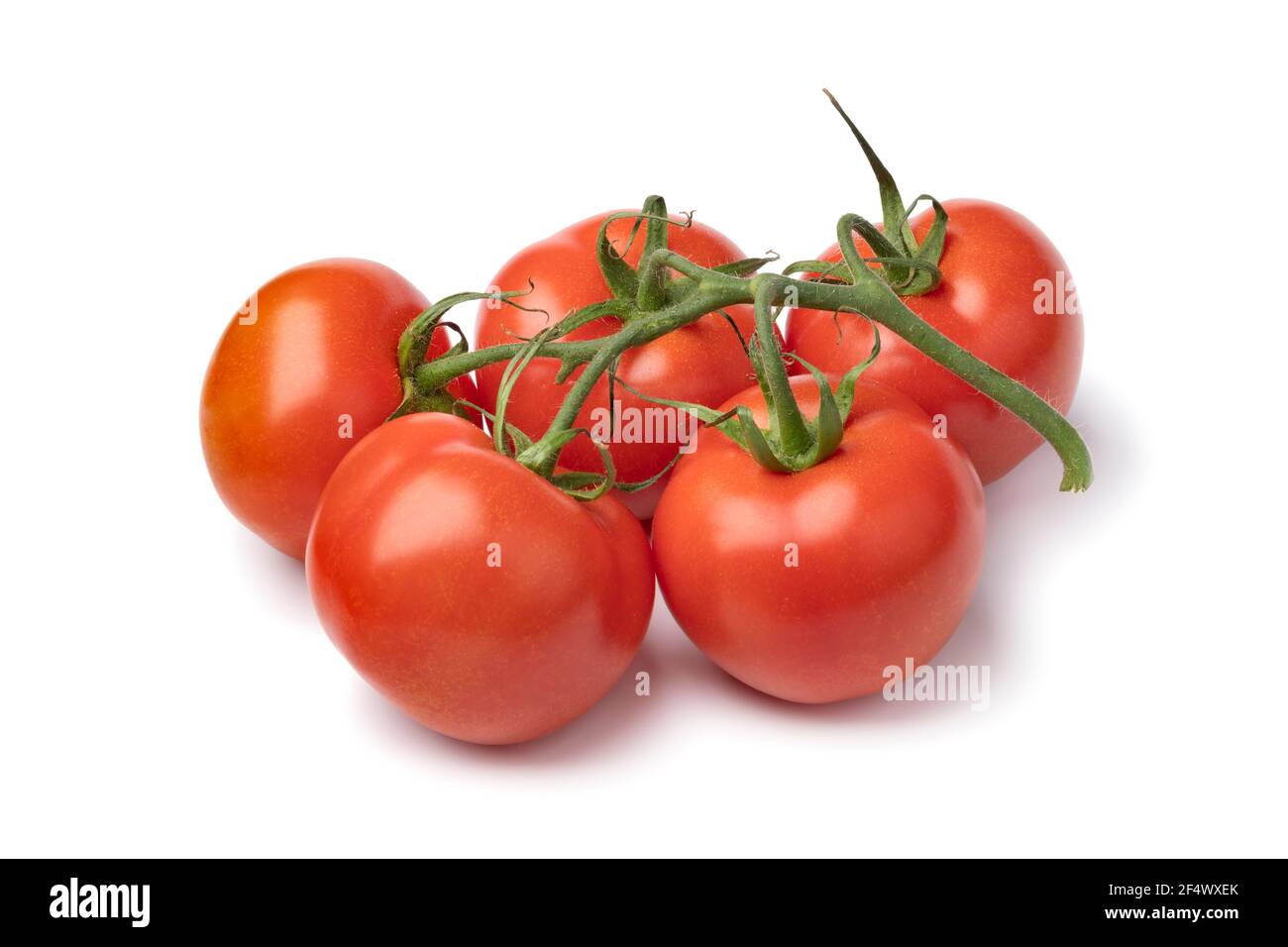 Bunch of organic red ripe juicy tomatoes isolated on white background Stock Photo
