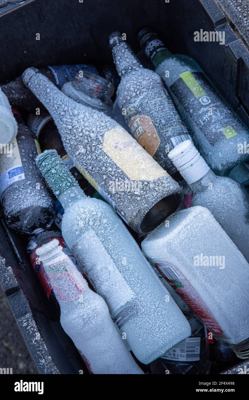Frozen Bottles in rubbish bin Stock Photo