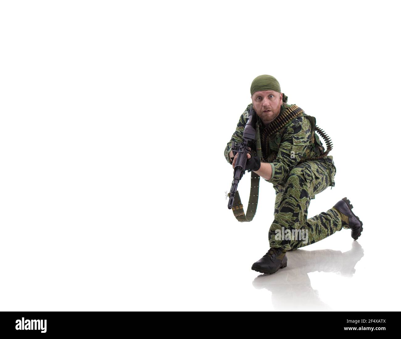 Man actor in the form of an American fur seal posing on a white background. Special Forces in Vietnam, 1970's. Stock Photo