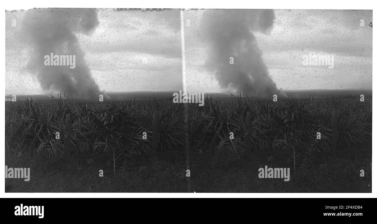 At Honolulu (Hawaii). View over a sugarcane field with smoke column Stock Photo