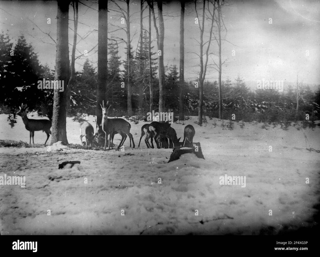 Restoration rehabilitation Black and White Stock Photos & Images - Alamy