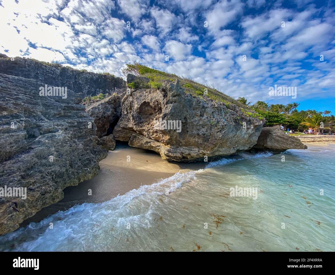Cap chevalier hi-res stock photography and images - Page 2 - Alamy