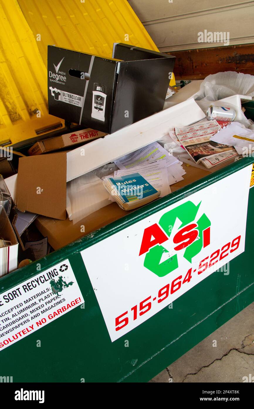 A Rules for Writers book lays atop cardboard and mixed paper materials in a recycling dumpster. Stock Photo