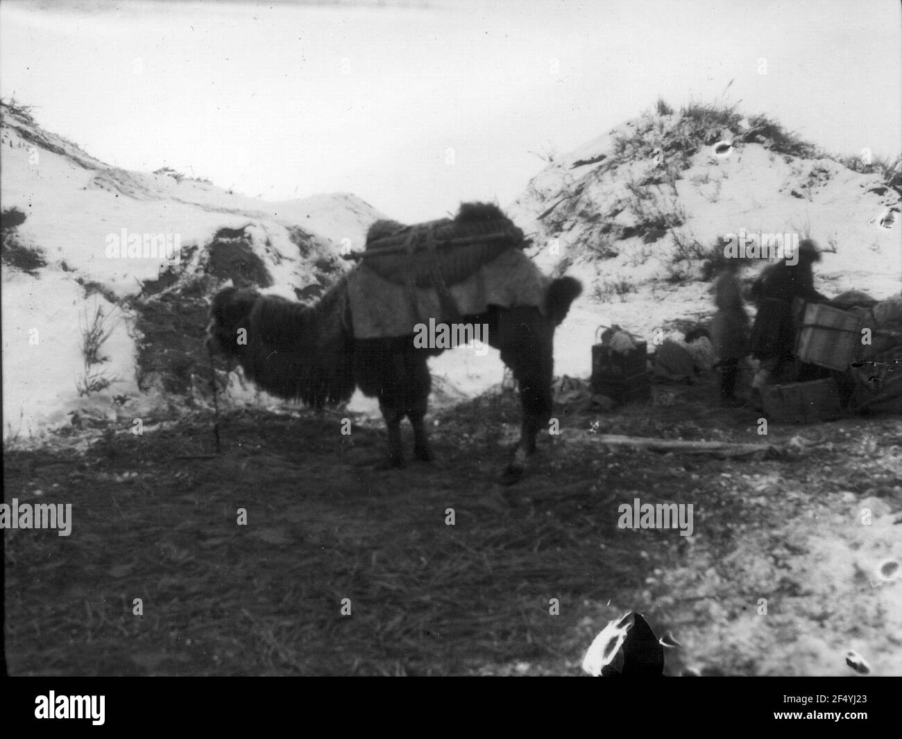 Takla Black and White Stock Photos & Images Alamy