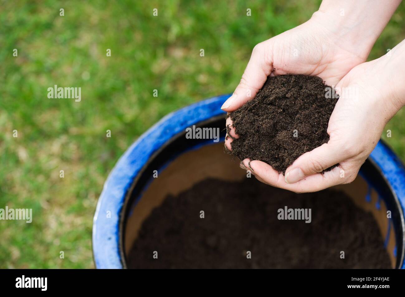 filling pot with compost Stock Photo - Alamy