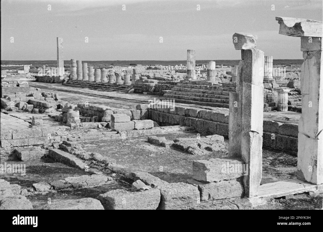 Travel photos Libya. Kyrene, ancient Greek city Stock Photo - Alamy