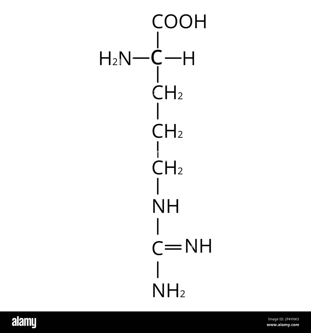 Arginine amino acid. Chemical molecular formula Arginine amino acid