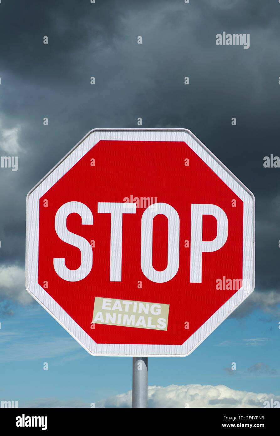 Road sign, Stop sign with sticker „eating animals“, sky with dark clouds, symbolic picture for stopping eating animals, Stock Photo