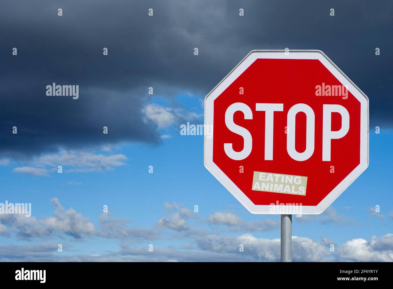 Road sign, Stop sign with sticker „eating animals“, sky with dark clouds, symbolic picture for stopping eating animals, Stock Photo