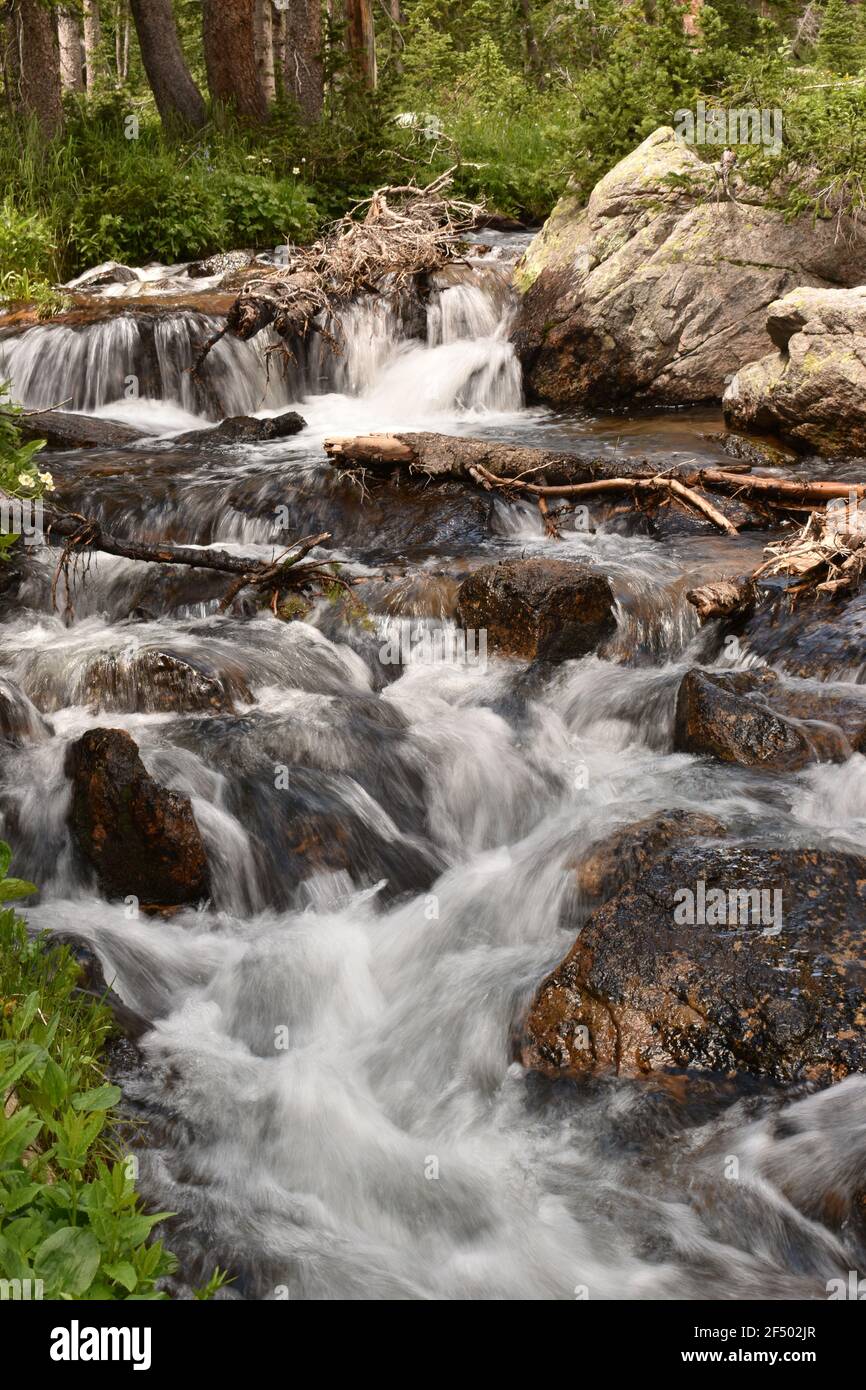 A cascading stream in the Rocky Mountains Stock Photo - Alamy
