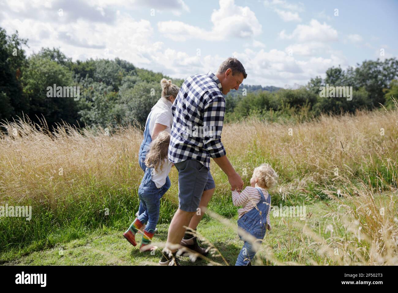 Family holding hands walking in sunny rural summer field Stock Photo