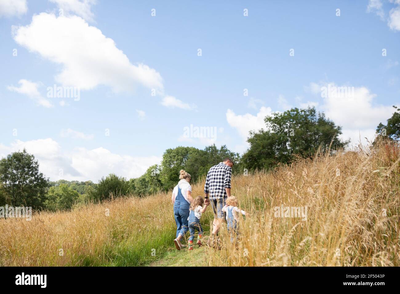Family holding hands walking up sunny rural summer hill Stock Photo
