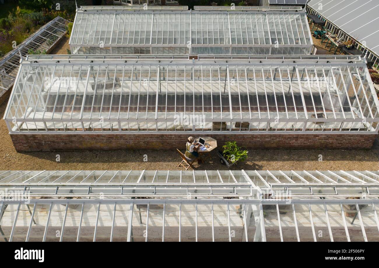 Drone point of view woman working at laptop between greenhouses Stock Photo