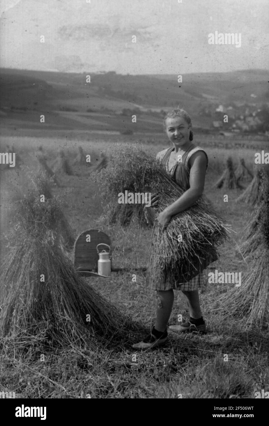 Crops harvest Black and White Stock Photos & Images - Alamy