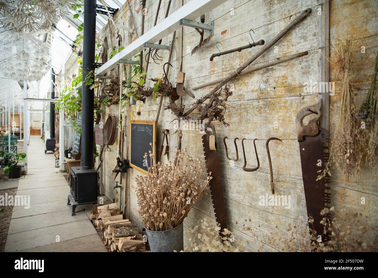 Dried flowers plants and antique tools on garden shop wall Stock Photo