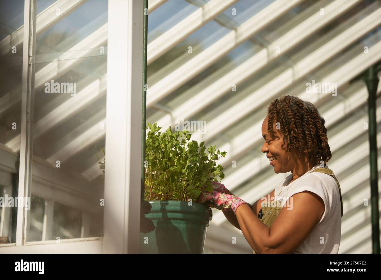 Female garden shop owner pruning potted plant in greenhouse Stock Photo