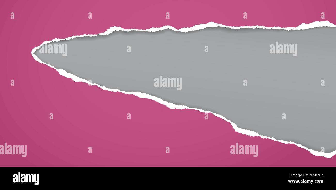Violet Ripped Paper Torn, ripped violet paper strip with soft shadow is on darl grey ...