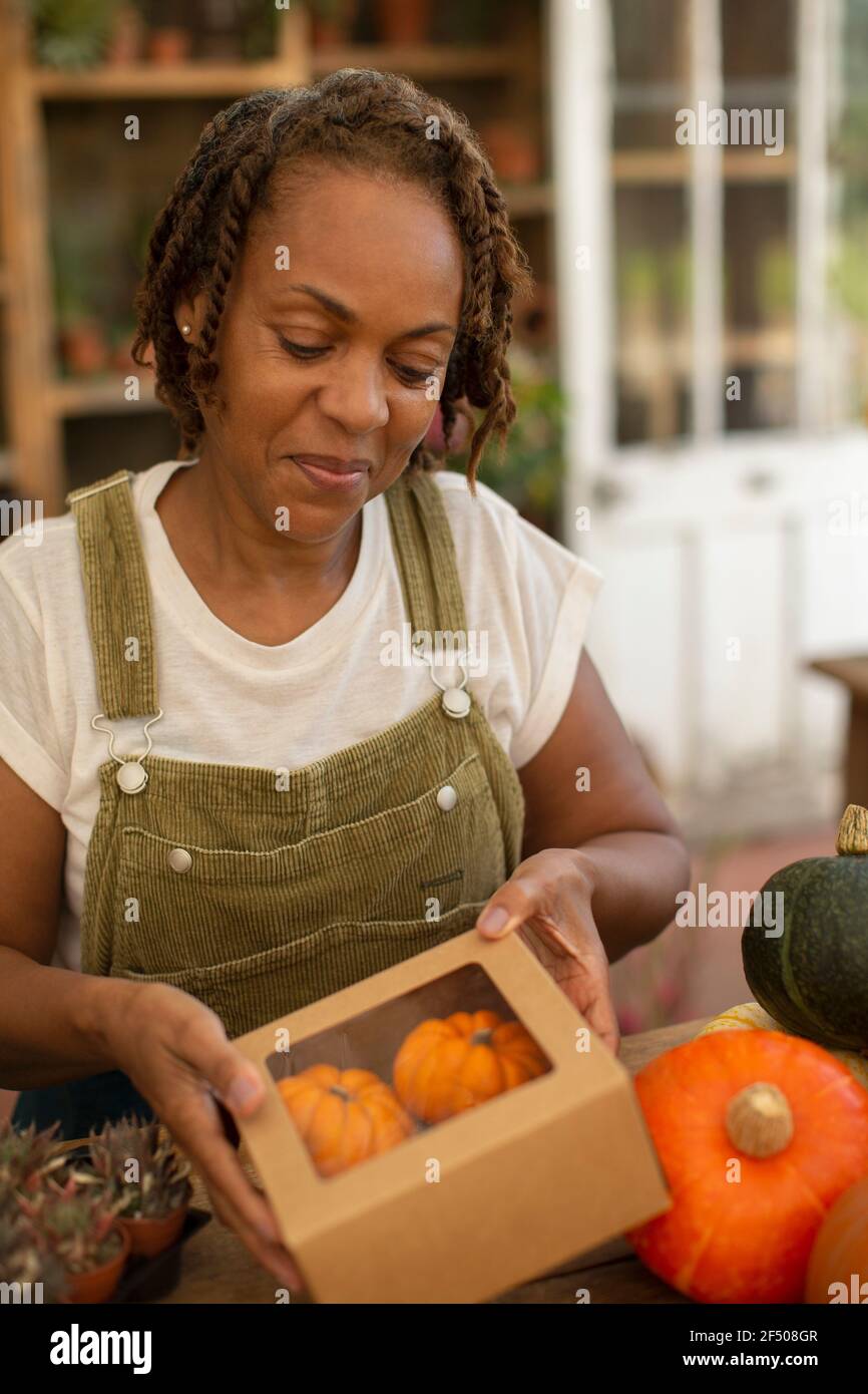 Female florist boxing small pumpkins in shop Stock Photo