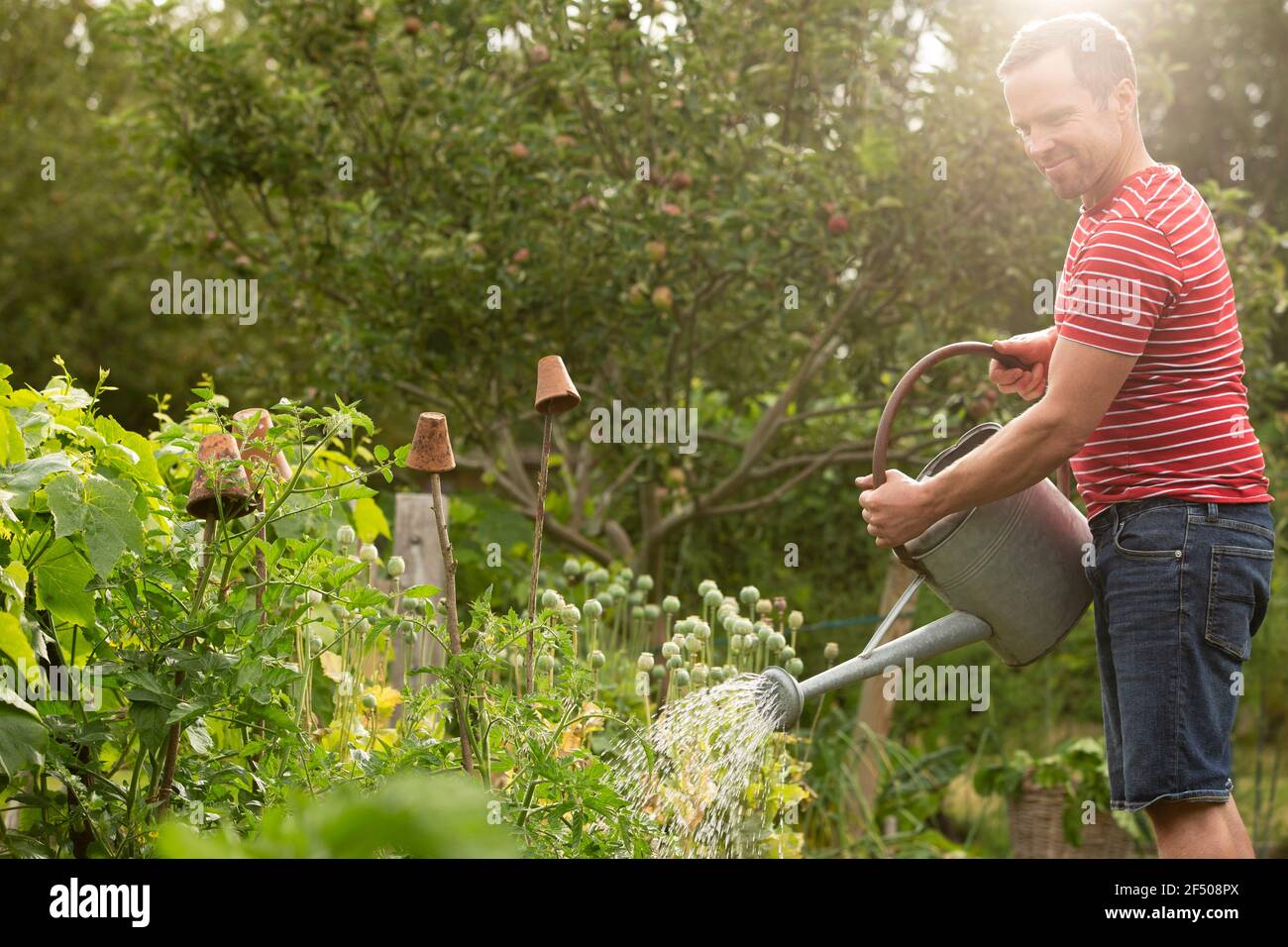 Man in garden summer hi-res stock photography and images - Alamy