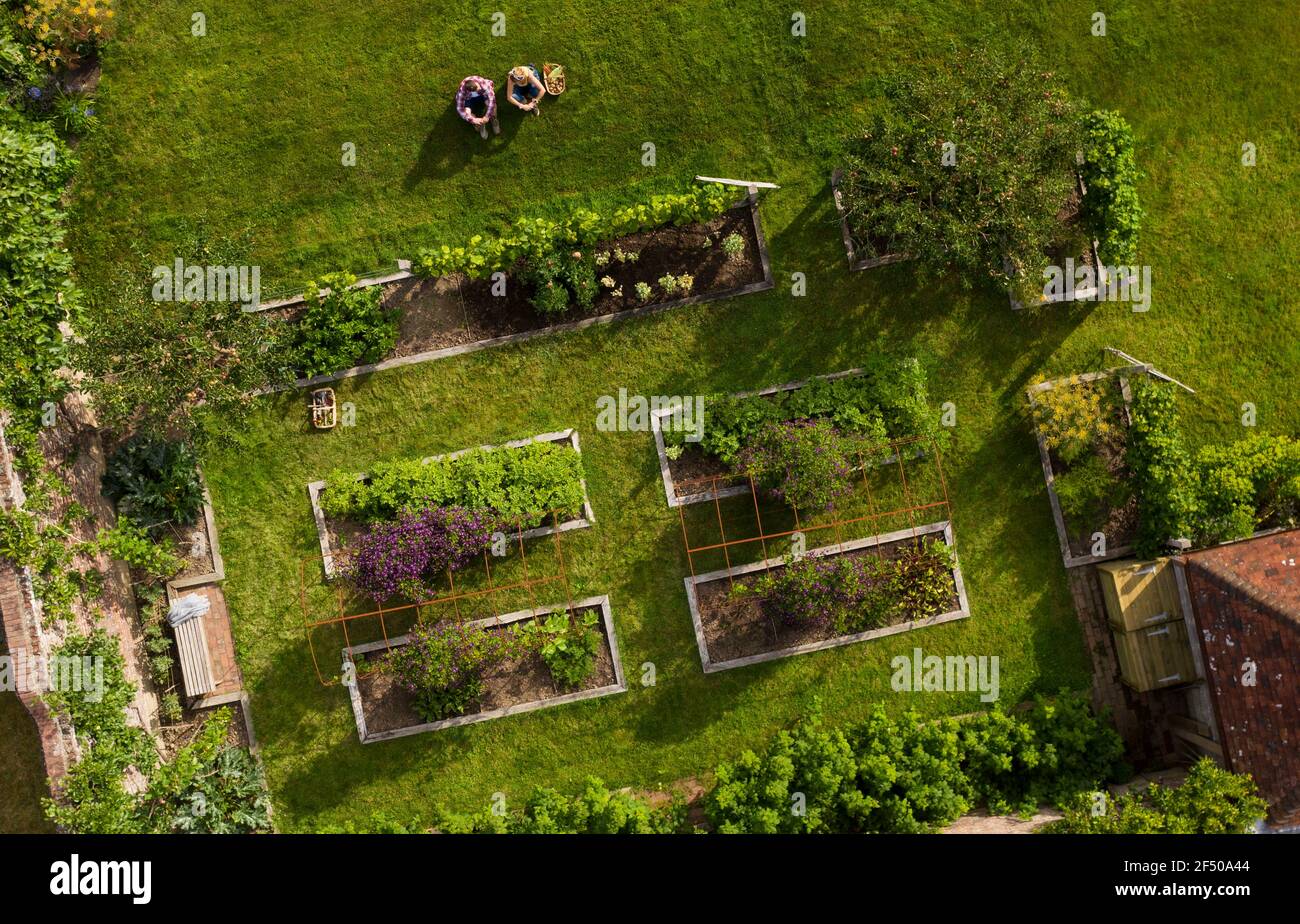 Aerial view couple sitting in sunny lush summer cottage garden Stock Photo