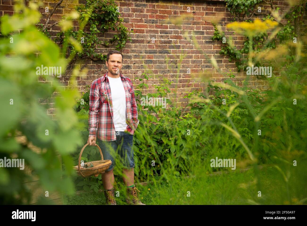 Portrait confident man with basket at brick wall in summer garden Stock Photo