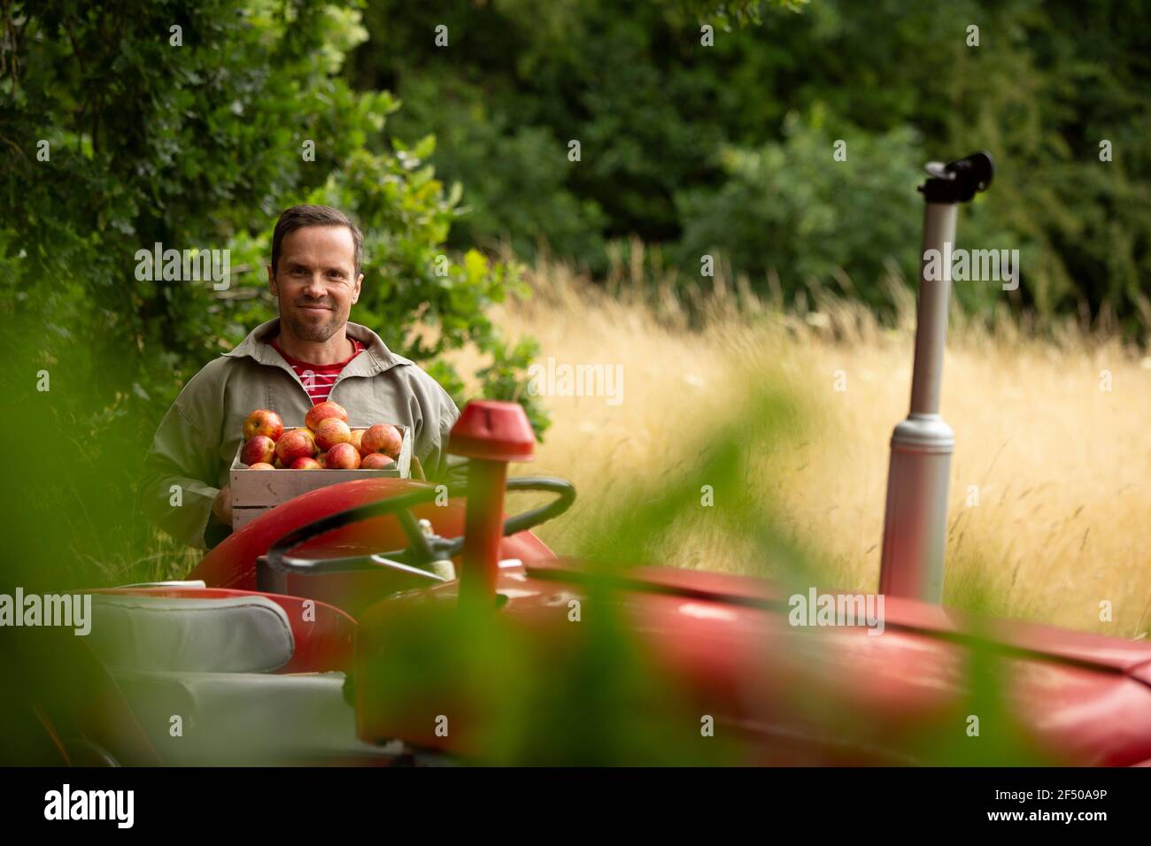 Portrait happy man with fresh harvested apples at tractor in orchard Stock Photo