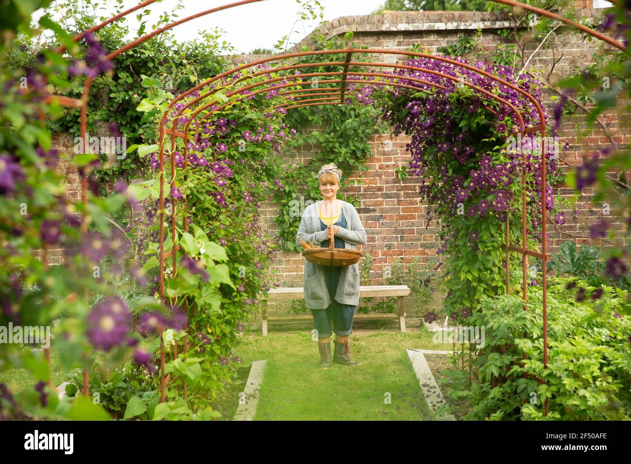 Portrait woman with basket under garden trellis with purple flowers Stock Photo Alamy