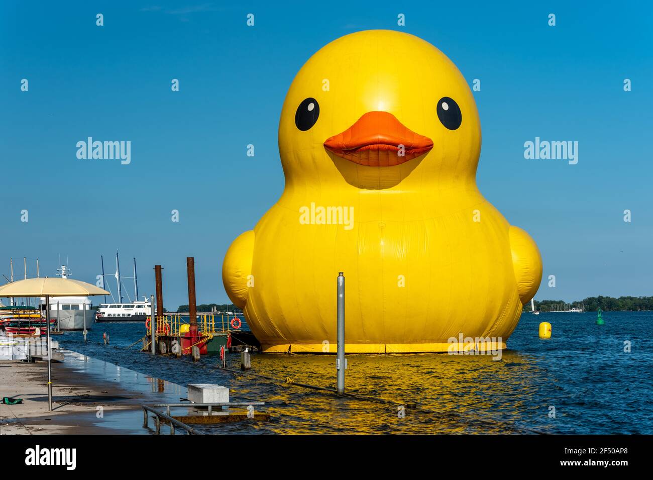 Toronto, Giant Rubber Duck to Celebrate Canada's 150th Anniversary-June 30,  2017 Stock Photo - Alamy