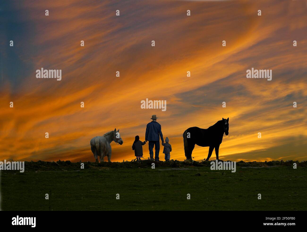 Amish Family with animals Views Sunset, Sugarcreek, Ohio Stock Photo