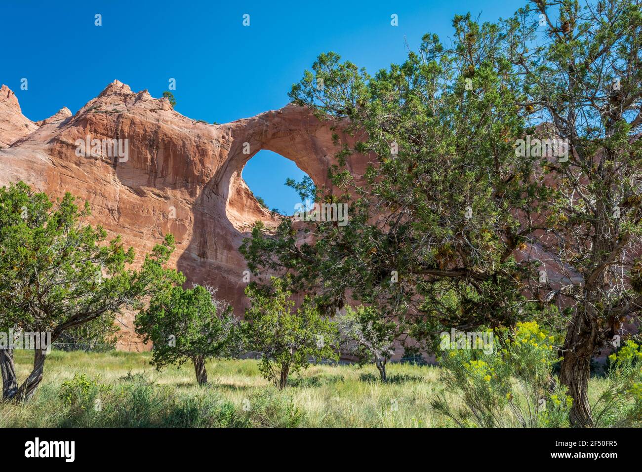 Window Rock, Navajo Nation, Arizona USA Stock Photo Alamy