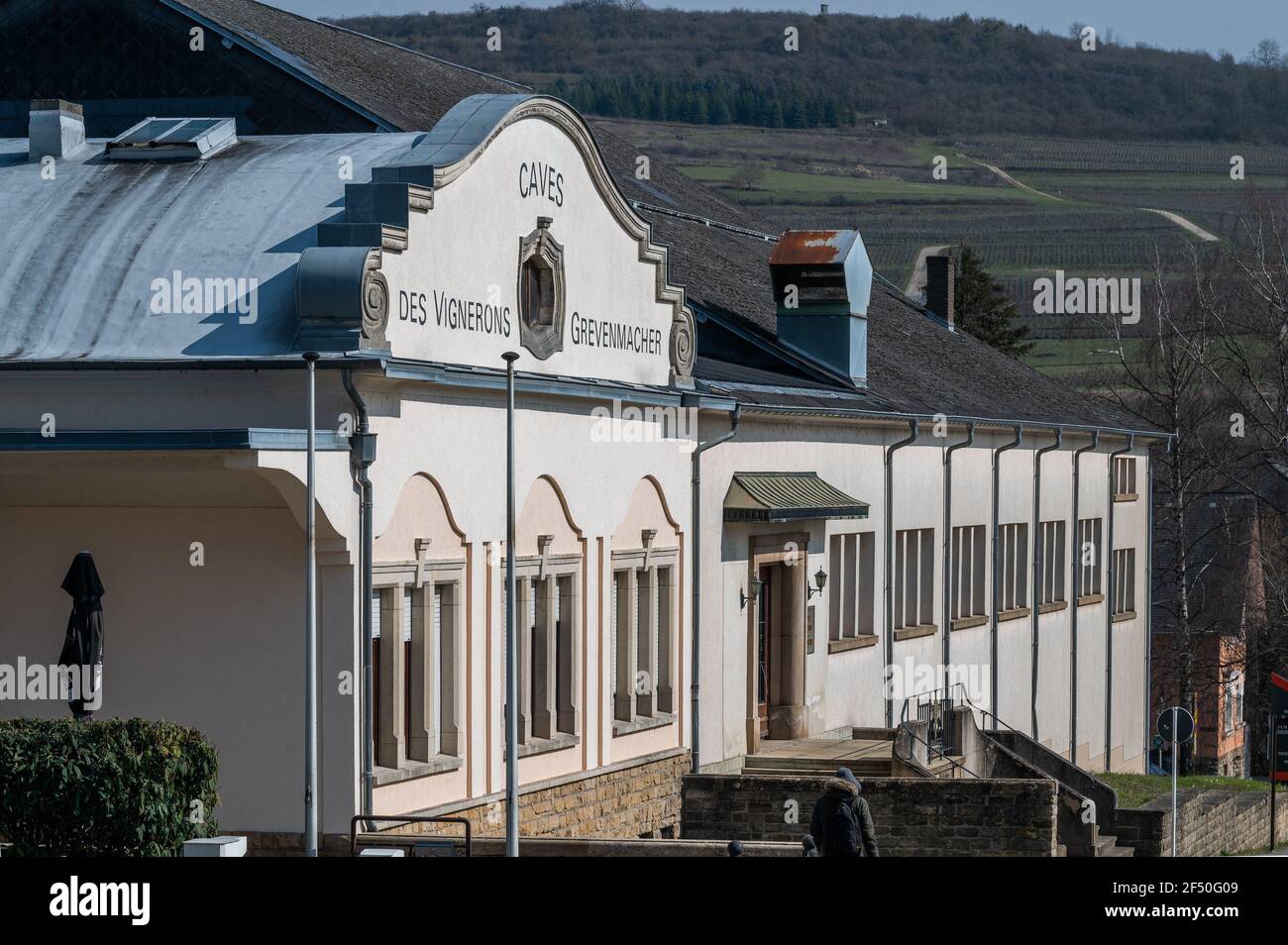 wine architecture in the Mosel Valley, Vinsmoselle, Grevenmacher, Luxemburg Stock Photo