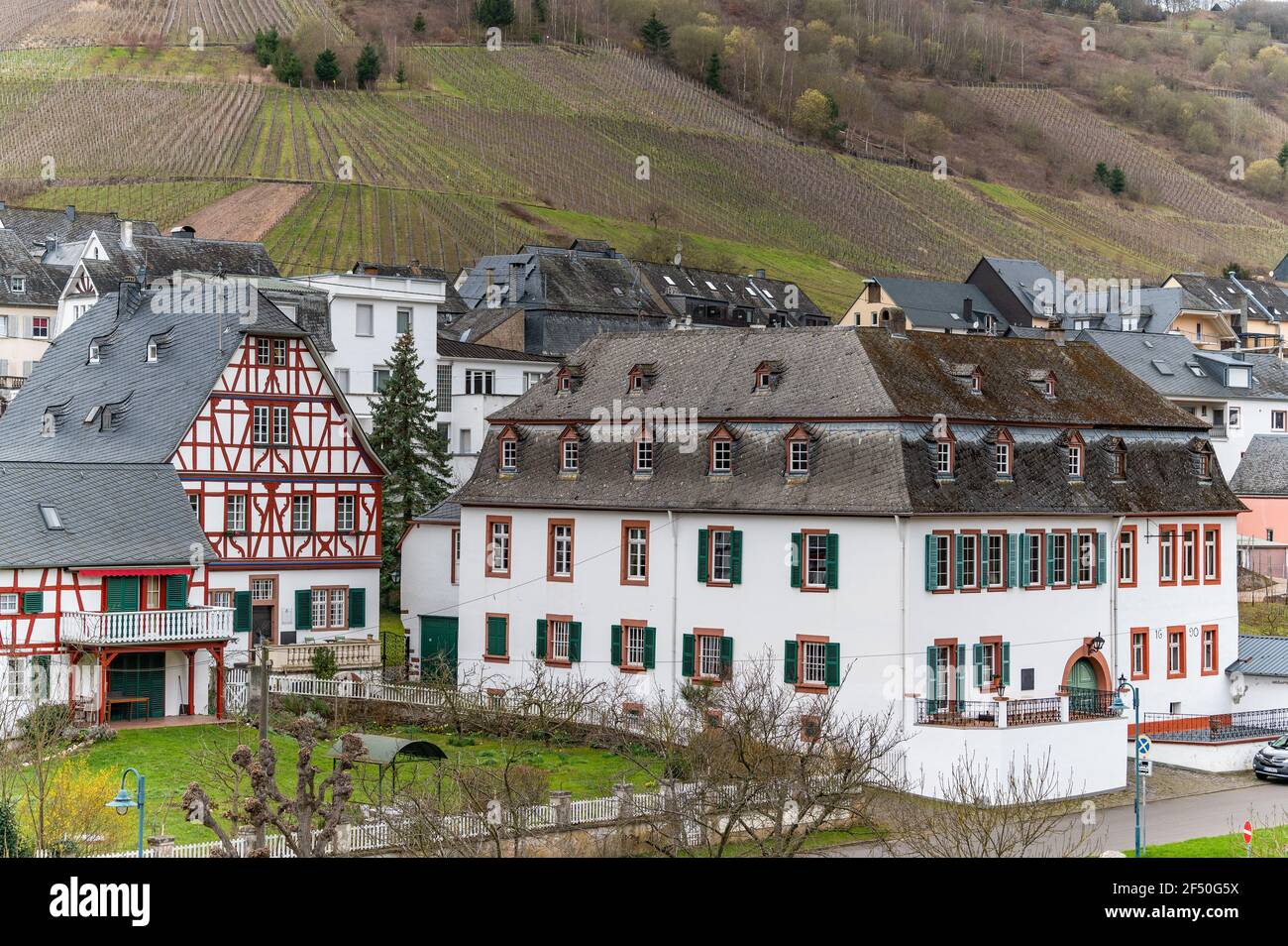wine architecture in the Mosel Valley, Steffens-Kess winery, Reil, Germany Stock Photo