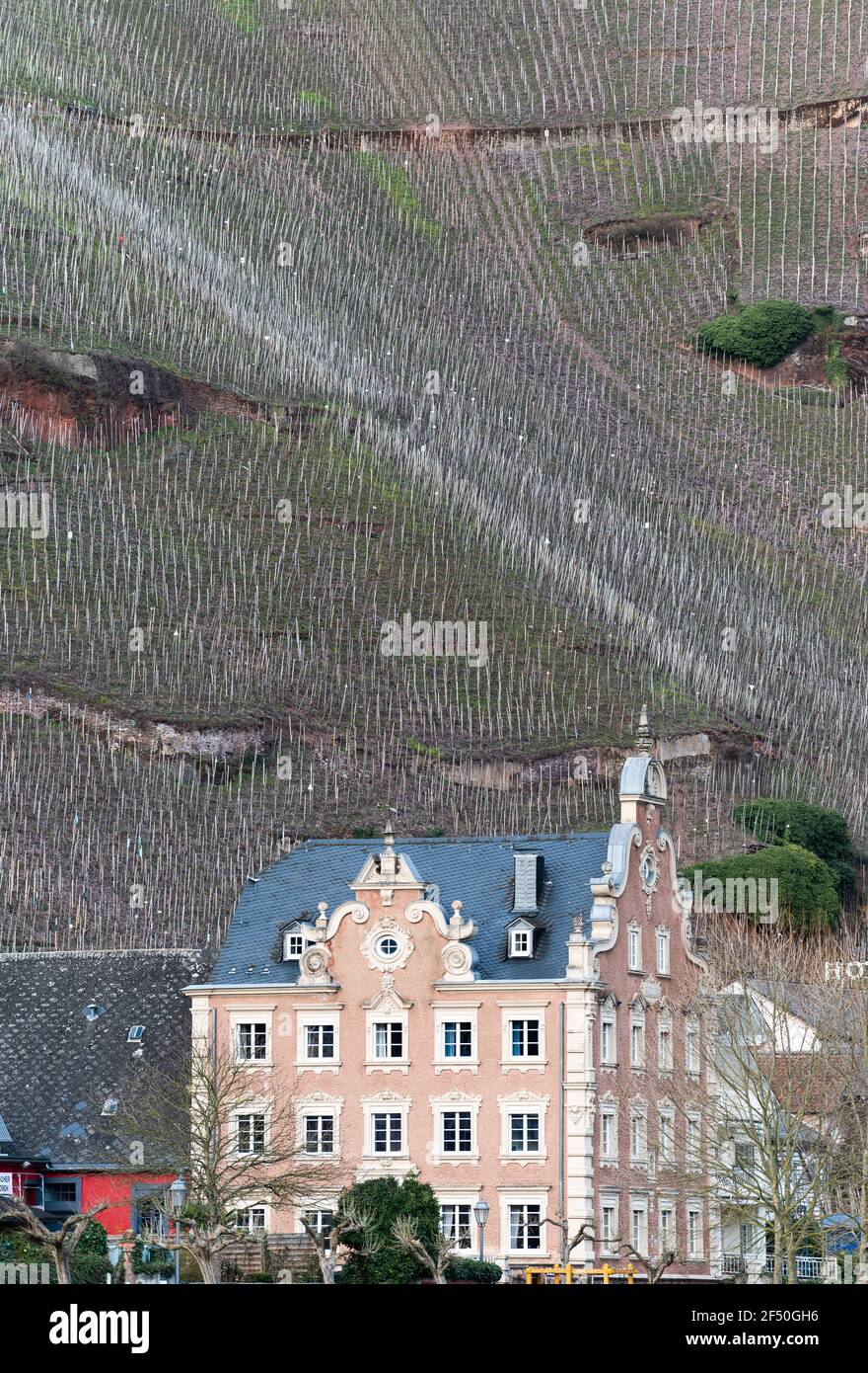 wine architecture in the Mosel Valley, Mönchhof, Ürzig, Germany Stock Photo