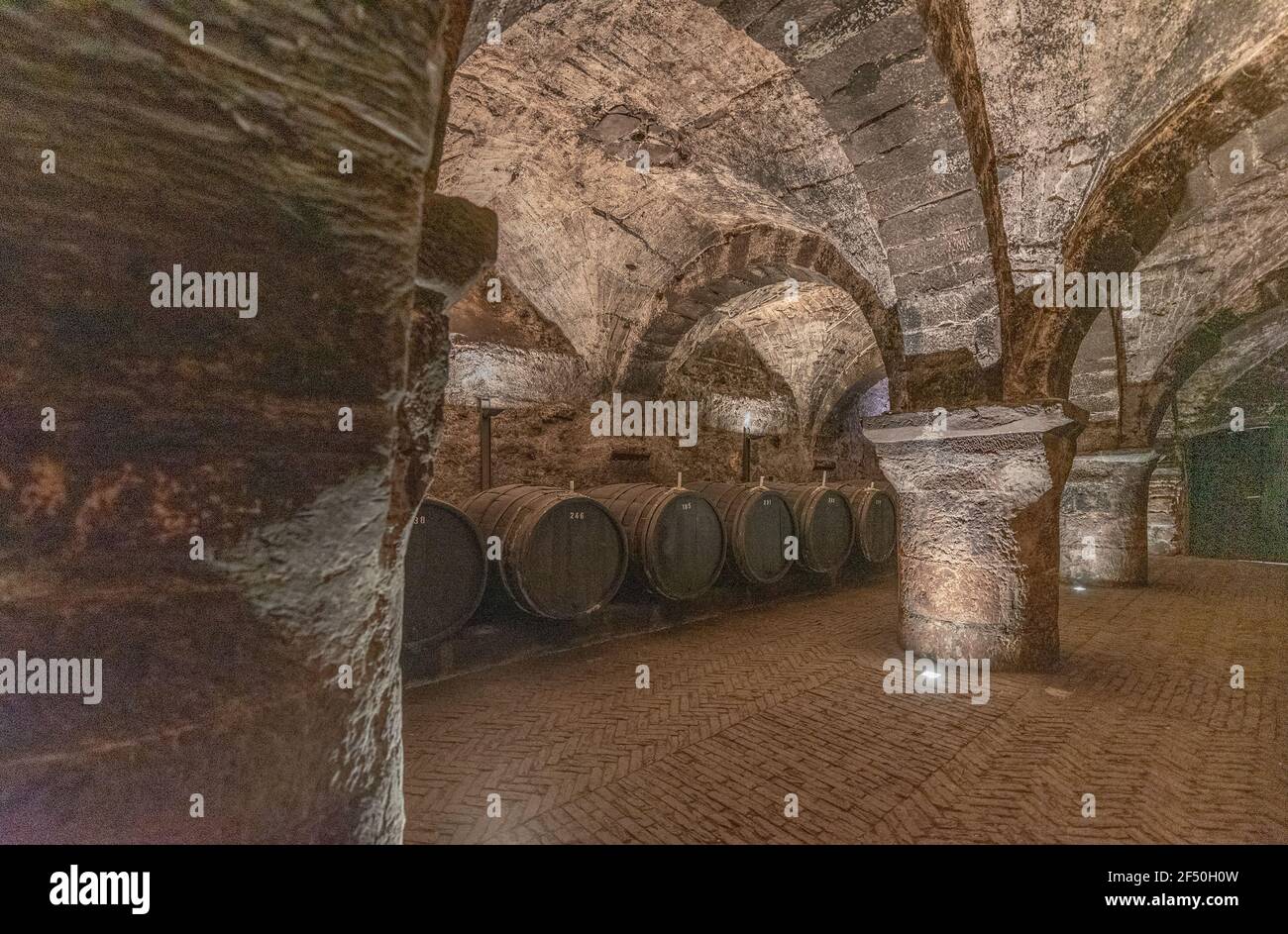 wine architecture in the Mosel Valley, Vereinigte Hospitien, Trier, Germany Stock Photo