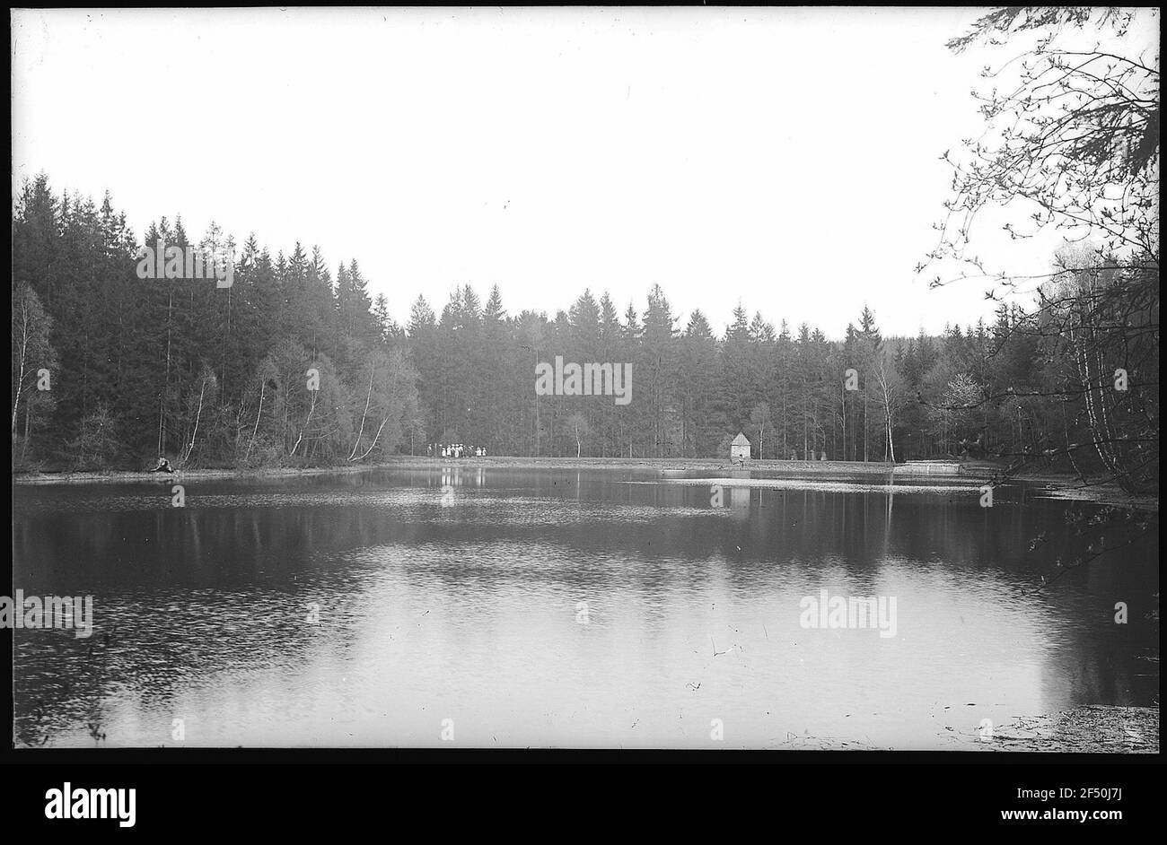 Freshwater fish pond Black and White Stock Photos & Images - Alamy