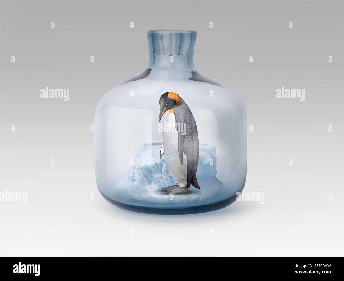 Penguin in jar with melting ice Stock Photo