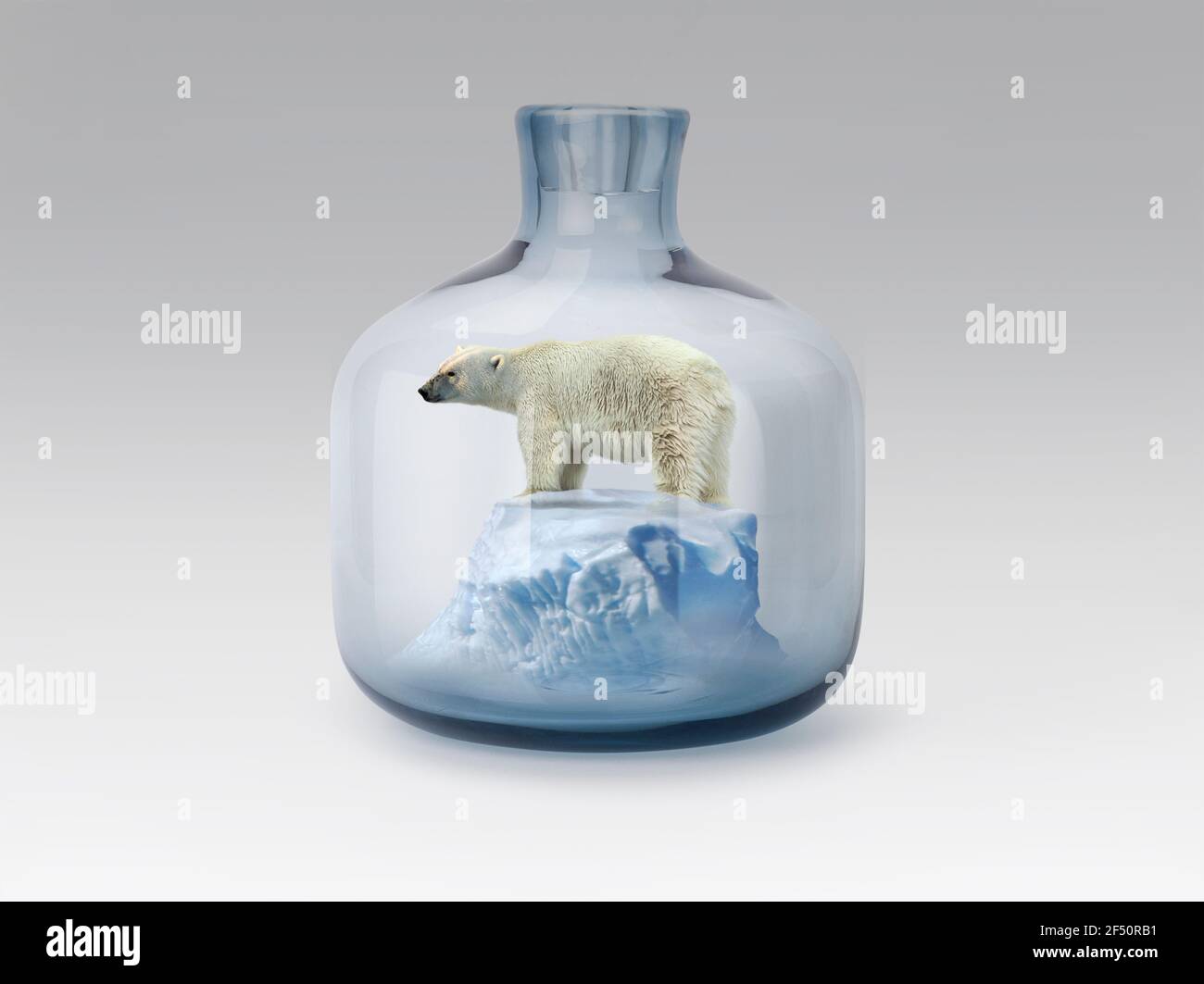 Polar bear in jar with melting ice Stock Photo