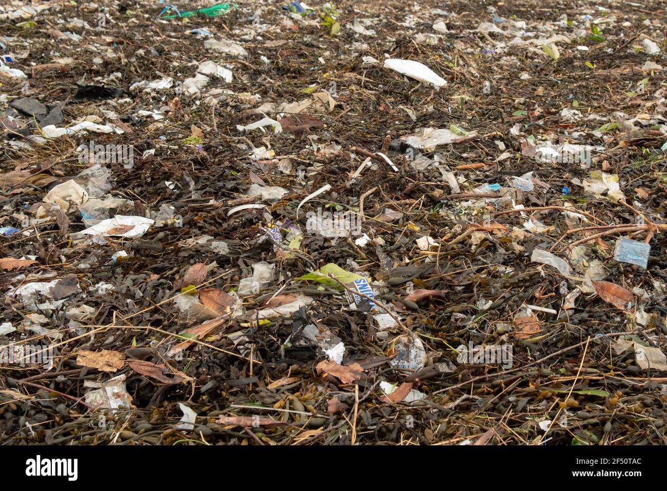 Marine litter including plastic washed up with seaweed on the shores of Arrochar, Loch Long, Scotland, UK Stock Photo