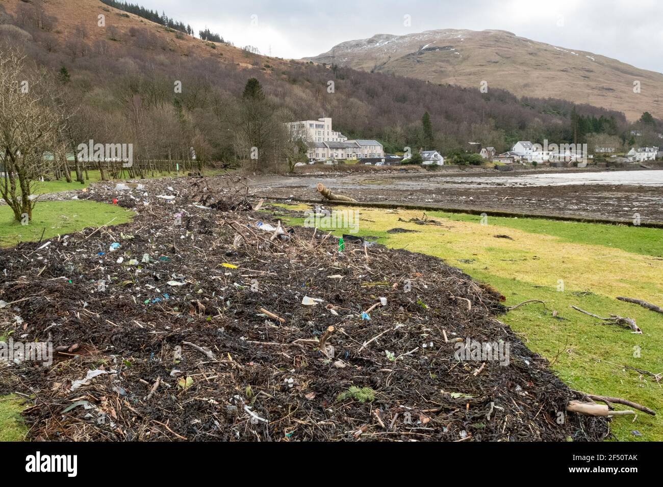 Marine litter including plastic washed up on the shores of Arrochar at the head of Loch Long, Scotland, UK Stock Photo